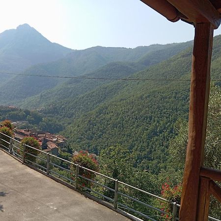 Agriturismo U' Spigu Nonna Annetta Nasino Exteriér fotografie