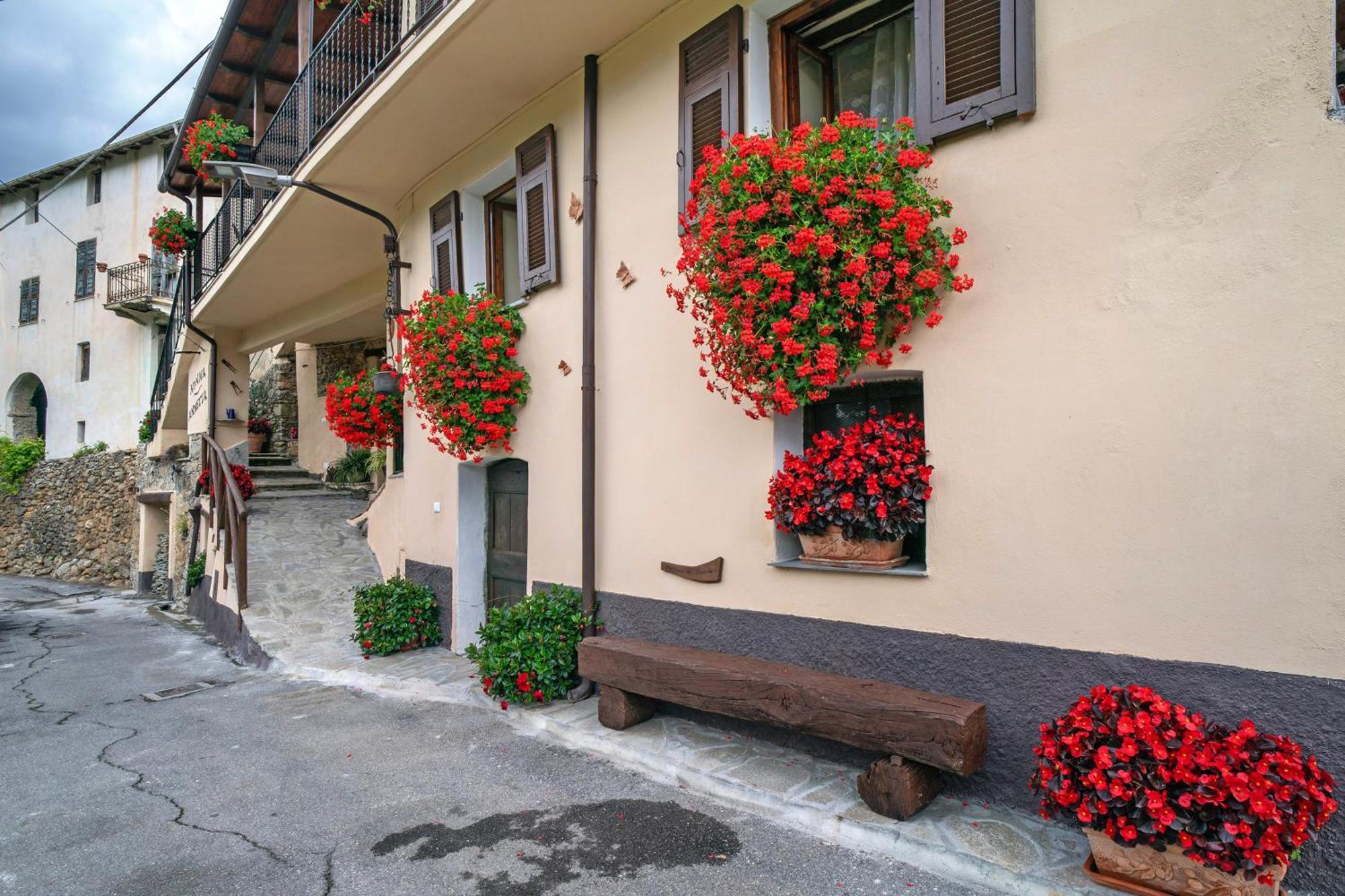 Agriturismo U' Spigu Nonna Annetta Nasino Exteriér fotografie