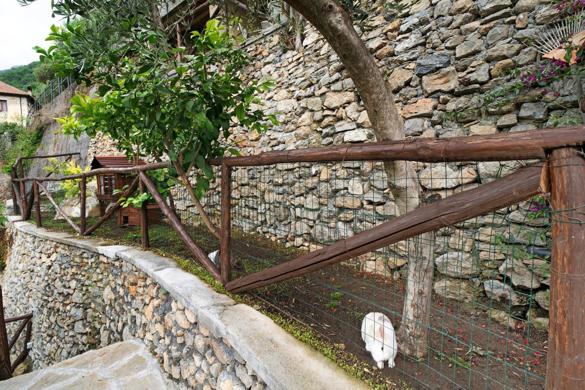 Agriturismo U' Spigu Nonna Annetta Nasino Exteriér fotografie
