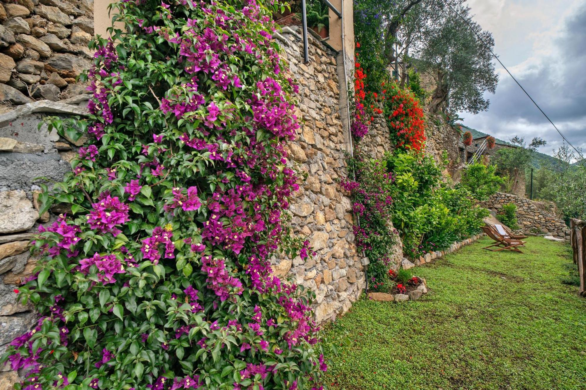 Agriturismo U' Spigu Nonna Annetta Nasino Exteriér fotografie